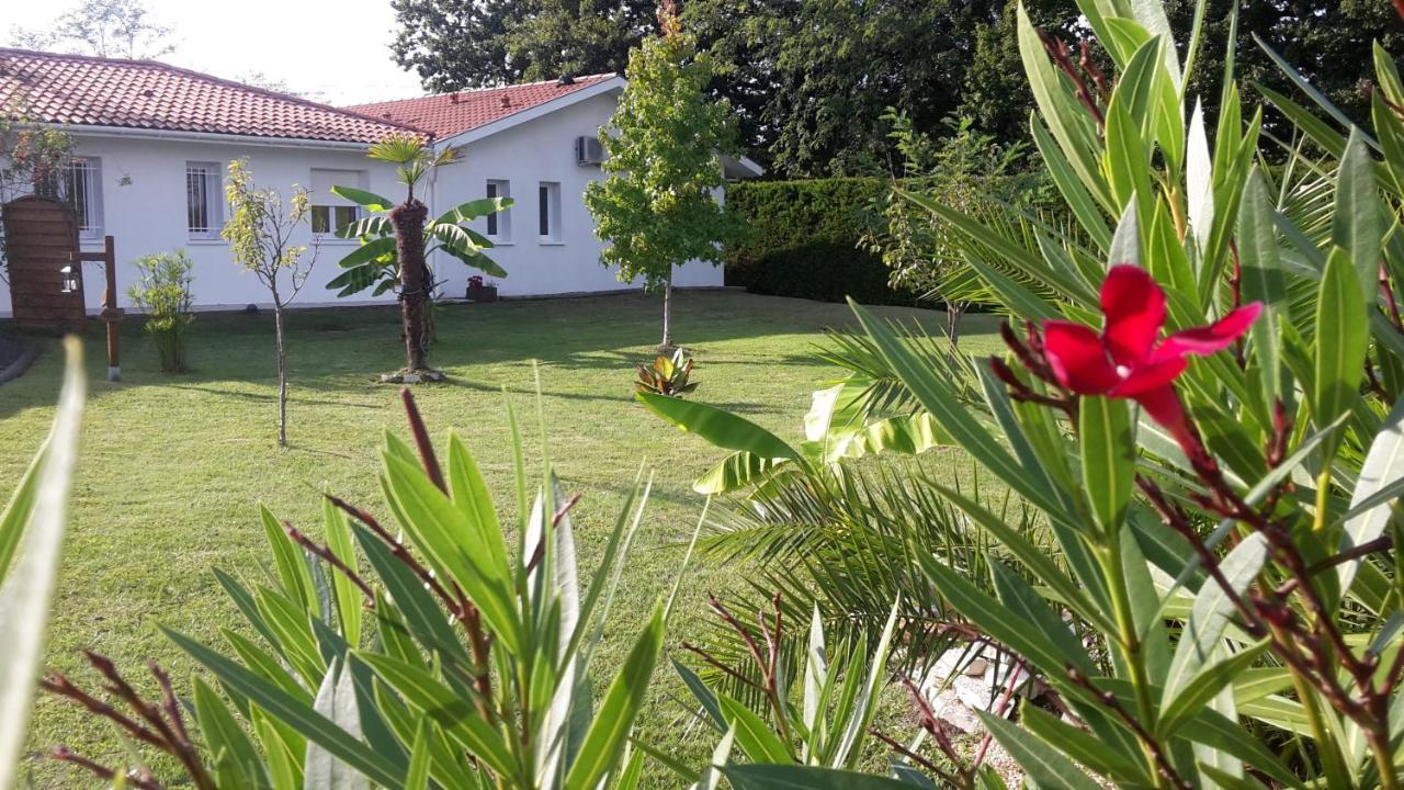 Chambres D'Hotes - Le Petit Bali Saint-Pandelon Eksteriør bilde